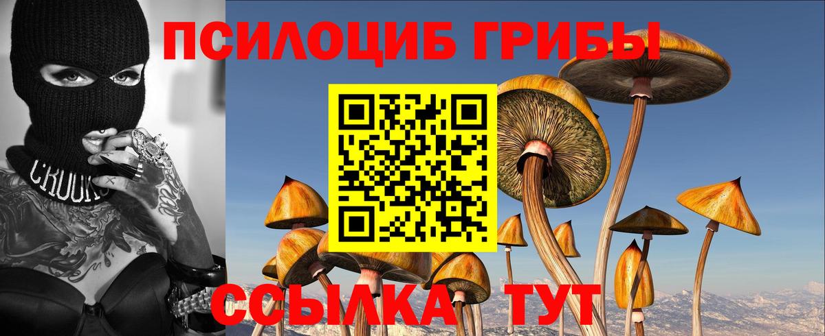 купить наркотик  Галлюциногенные грибы ЛСД  Вход с VPN  Зеленокумск 